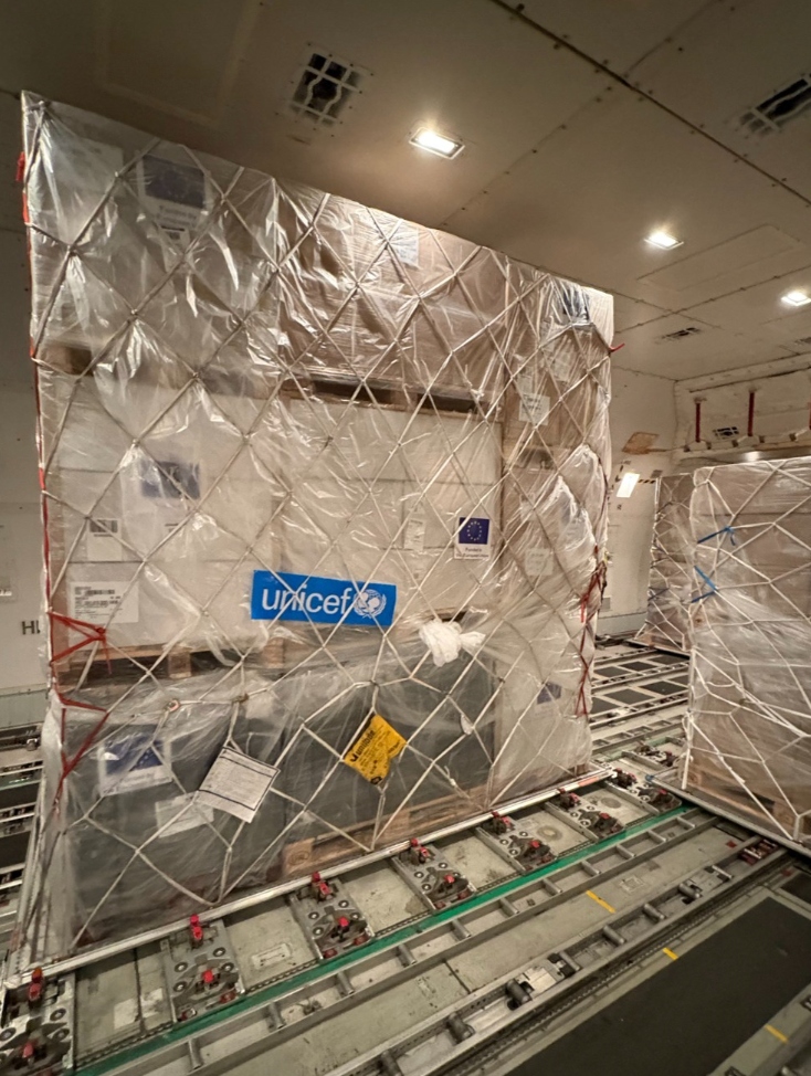 UNICEF humanitarian aid cargo ULD pallet in main deck aircraft hold
