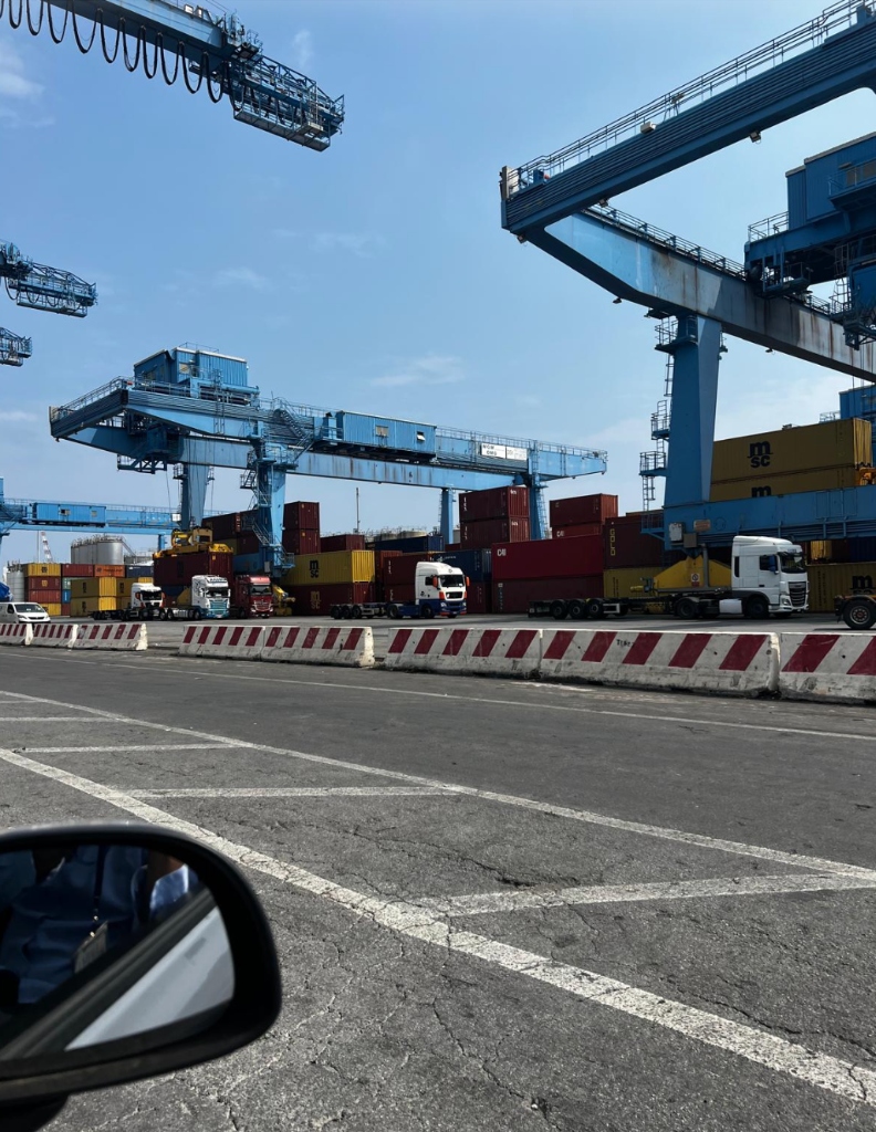 Container port terminal STS gantry cranes and MSC trucks